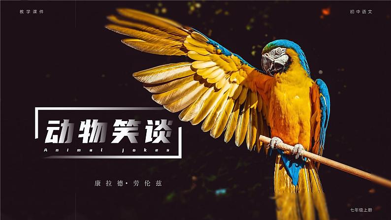 部编版七年级语文上册第17课《动物笑谈》优质课件01