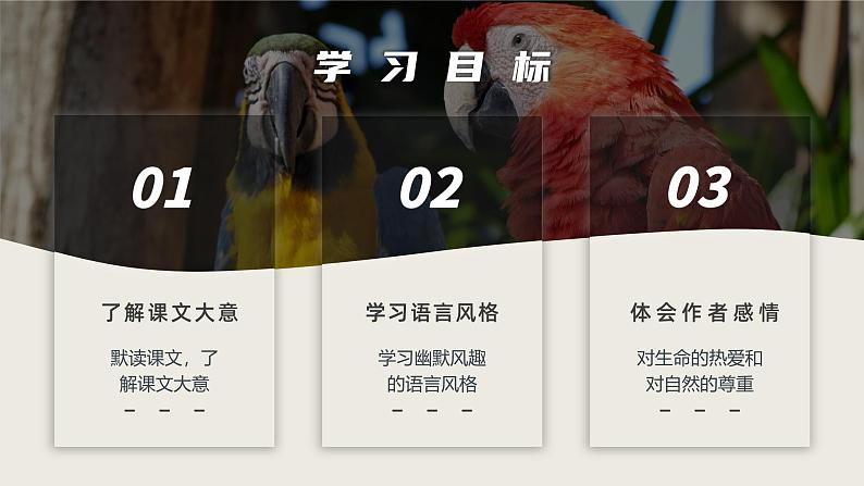 部编版七年级语文上册第17课《动物笑谈》优质课件04