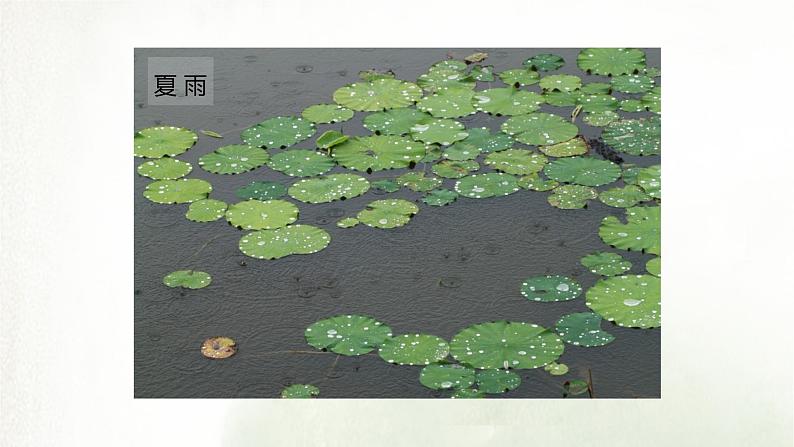 课件:部编版初中语文七年级上册第一单元第3课 雨的四季05
