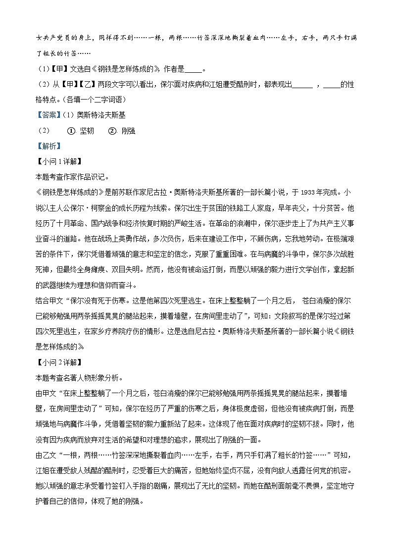 河南省信阳市淮滨县2024-2025学年九年级上学期开学考试语文试题(解析版)03