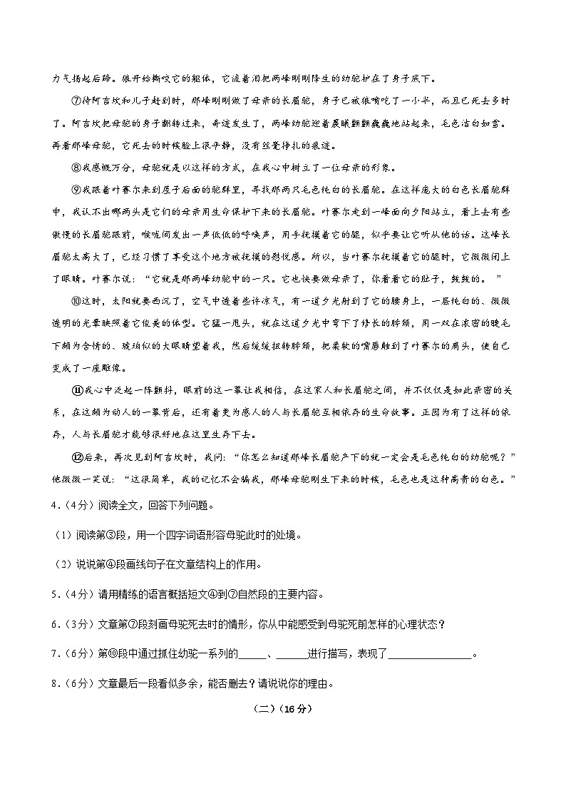 部编版语文七年级开学测试卷1(试卷+答案+解析)03