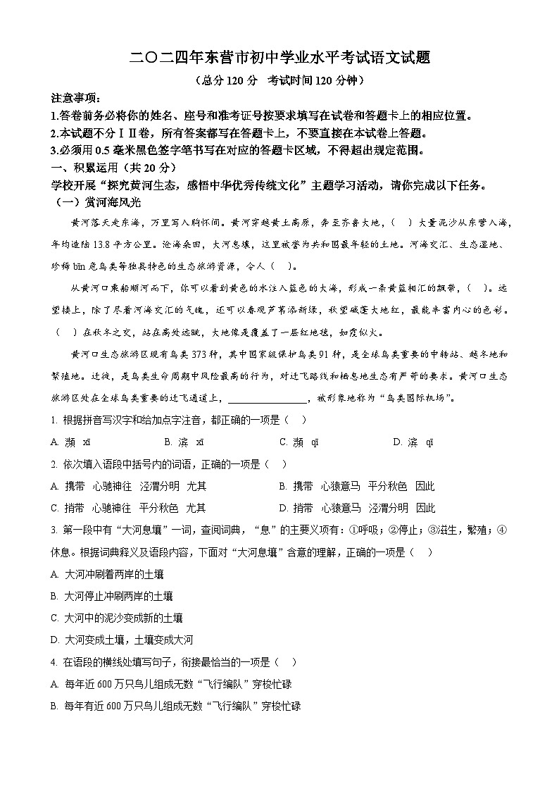 精品解析:2024年山东省东营市中考语文真题(解析版)01