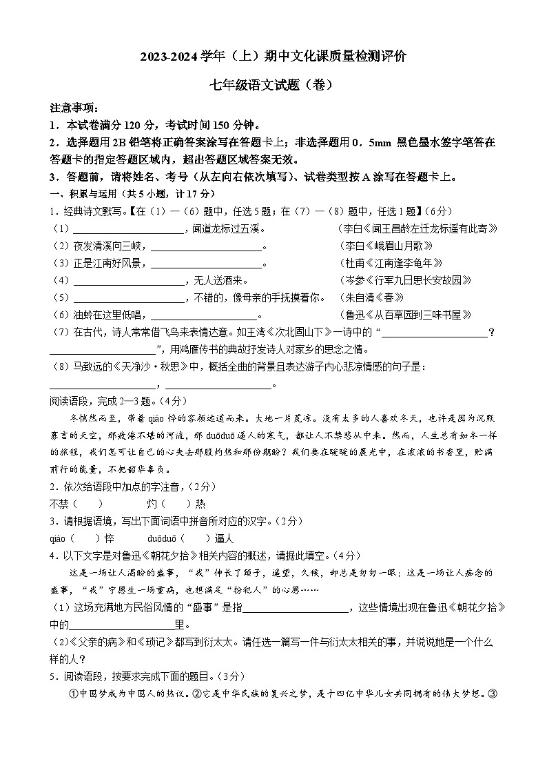 陕西省渭南市澄城县2023-2024学年七年级上学期期中语文试题01