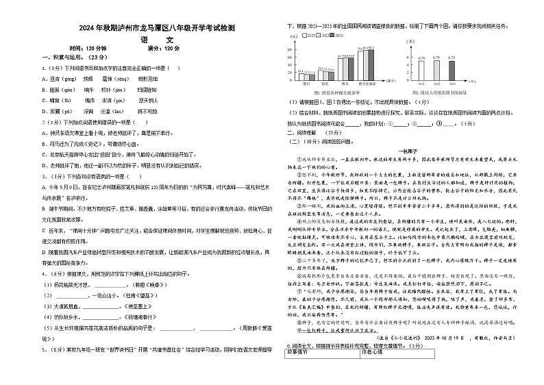 四川省泸州市龙马潭区两校联考2024-2025学年八年级上学期开学语文试题01