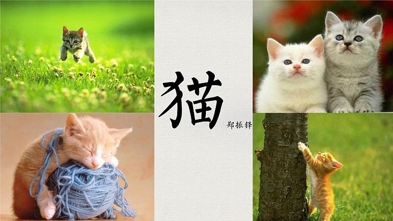 17 猫(教学课件)-初中语文统编版(2024)七年级上册第1页