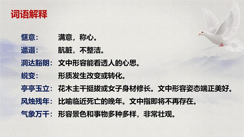 18 我的白鸽(教学课件)-初中语文统编版(2024)七年级上册08