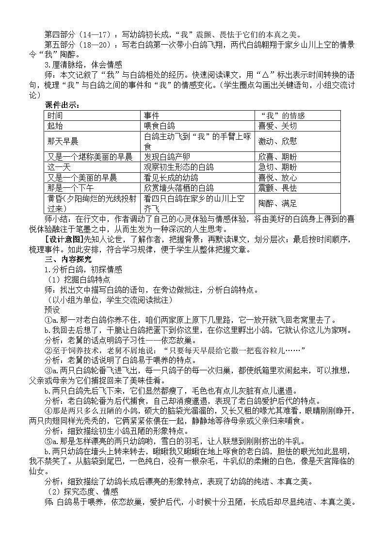 初中语文新部编版七年级上册第18课《我的白鸽》核心素养教案(2024秋)第2页