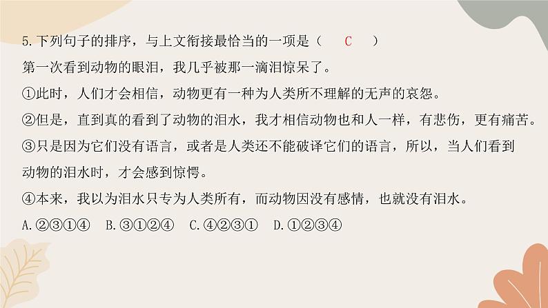 统编版(2024)七年级语文上册 第五单元检测卷课件05