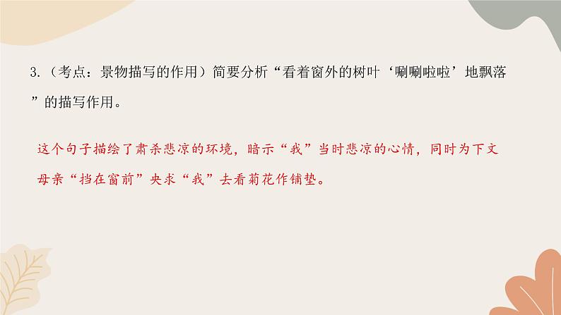 部编版(2024)七年级语文上册 5 秋天的怀念习题课件第7页