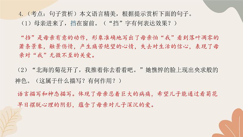 部编版(2024)七年级语文上册 5 秋天的怀念习题课件第8页