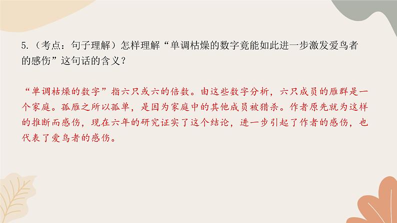 部编版(2024)七年级语文上册 19 大雁归来习题课件第8页