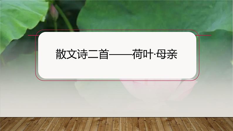 课件:部编版初中语文七年级上册第二单元第7课 散文诗二首——荷叶·母亲01