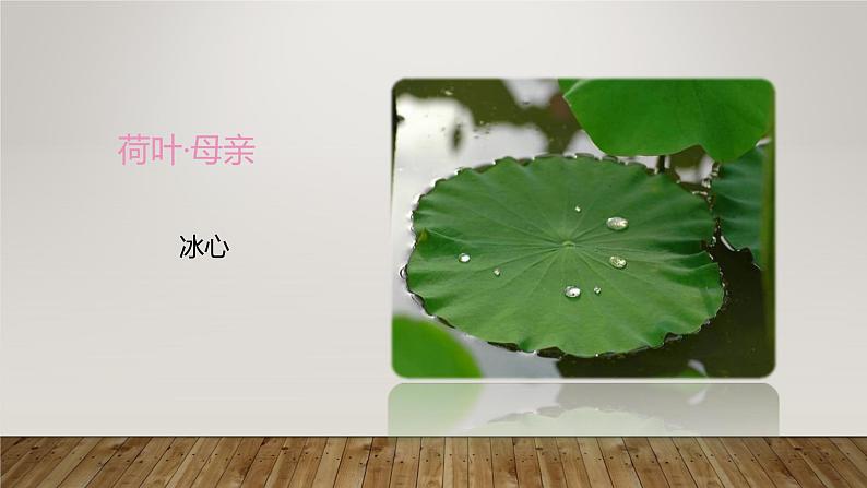 课件:部编版初中语文七年级上册第二单元第7课 散文诗二首——荷叶·母亲02