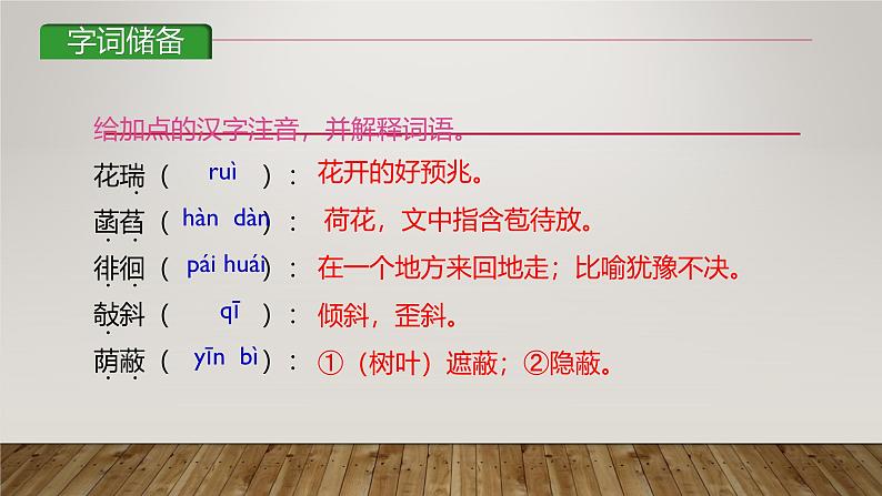 课件:部编版初中语文七年级上册第二单元第7课 散文诗二首——荷叶·母亲05