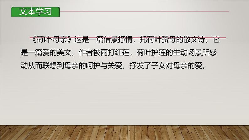 课件:部编版初中语文七年级上册第二单元第7课 散文诗二首——荷叶·母亲07