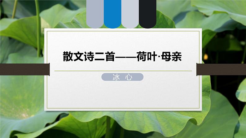 课件:部编版初中语文七年级上册第二单元第7课 散文诗二首——荷叶·母亲第1页