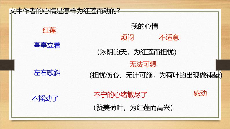 课件:部编版初中语文七年级上册第二单元第7课 散文诗二首——荷叶·母亲第5页
