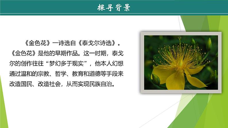 课件:部编版初中语文七年级上册第二单元第7课 散文诗二首——金色花07