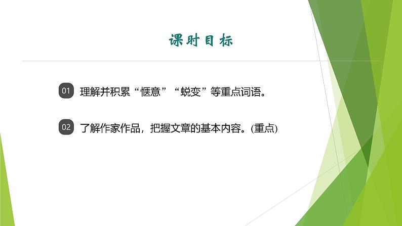 课件:部编版初中语文七年级上册第五单元第18课 我的白鸽 第1课时第2页