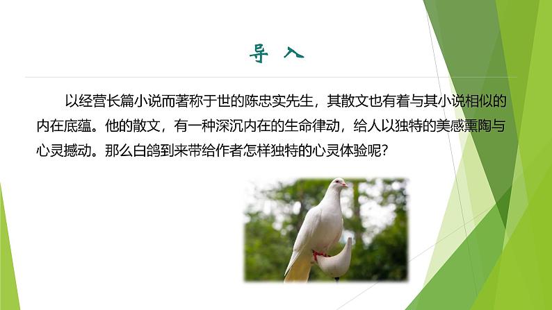 课件:部编版初中语文七年级上册第五单元第18课 我的白鸽 第1课时第3页