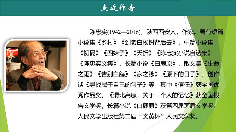 课件:部编版初中语文七年级上册第五单元第18课 我的白鸽 第1课时第5页