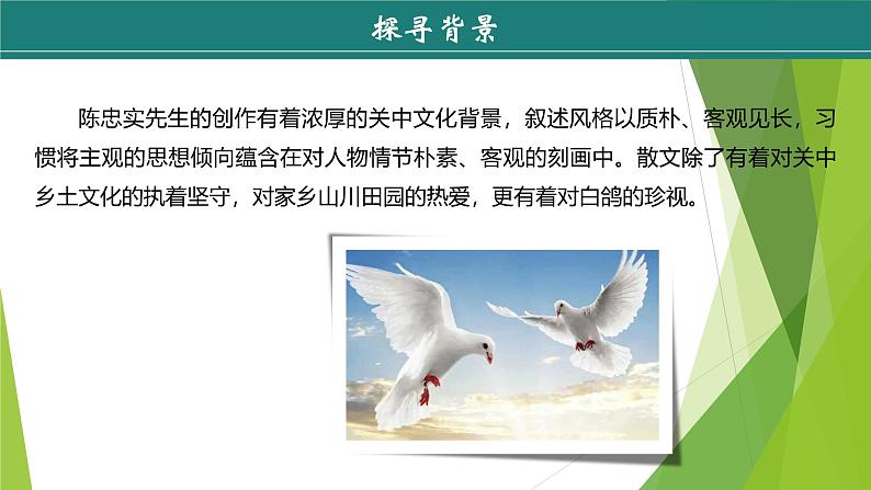 课件:部编版初中语文七年级上册第五单元第18课 我的白鸽 第1课时第6页