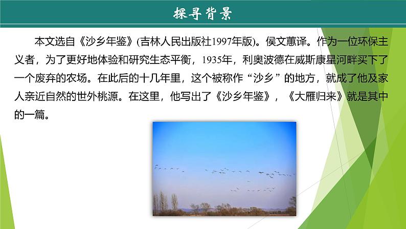 课件:部编版初中语文七年级上册第五单元第19课 大雁归来 第1课时06