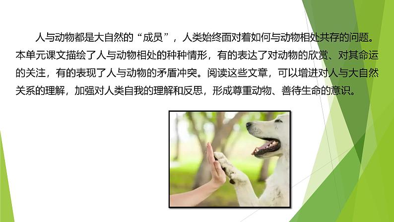 课件:部编版初中语文七年级上册第五单元 任务三 记述与动物的相处04