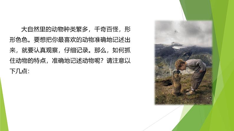 课件:部编版初中语文七年级上册第五单元 任务三 记述与动物的相处05