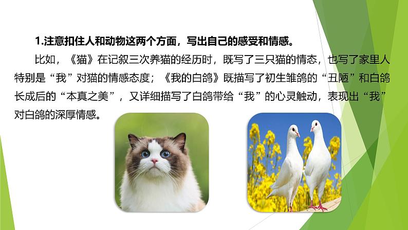 课件:部编版初中语文七年级上册第五单元 任务三 记述与动物的相处06