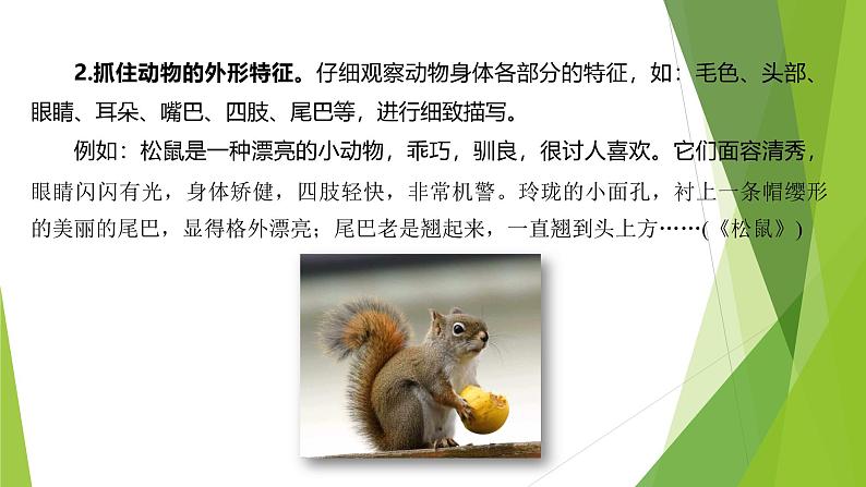 课件:部编版初中语文七年级上册第五单元 任务三 记述与动物的相处07