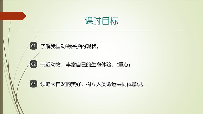 课件:部编版初中语文七年级上册第五单元 任务二 亲近动物,丰富生命体验02