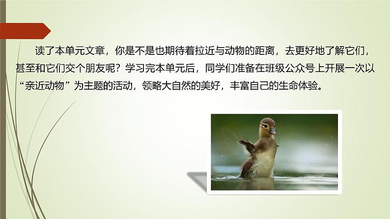 课件:部编版初中语文七年级上册第五单元 任务二 亲近动物,丰富生命体验03