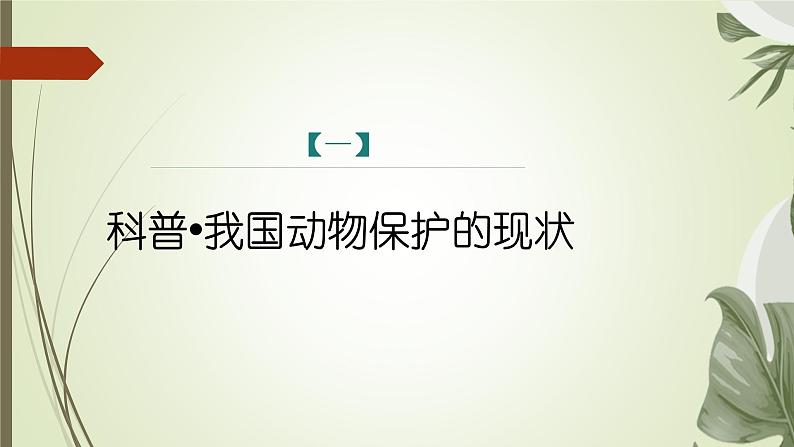 课件:部编版初中语文七年级上册第五单元 任务二 亲近动物,丰富生命体验04