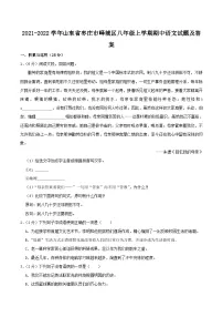 2021-2022学年山东省枣庄市峄城区八年级上学期期中语文试题及答案