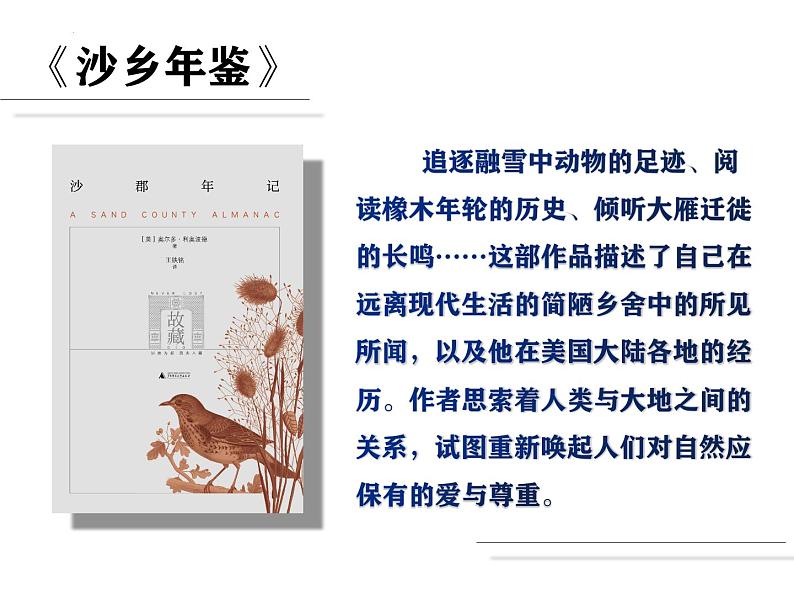 第19课《大雁归来》课件-2024-2025学年统编版语文七年级上册(2024)03