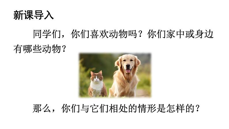 初中语文新人教部编版七年级上册第五单元任务三《记叙与动物的相处》教学课件(2024秋)02