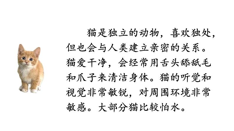 初中语文新人教部编版七年级上册第五单元任务三《记叙与动物的相处》教学课件(2024秋)04