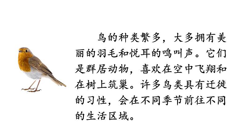初中语文新人教部编版七年级上册第五单元任务三《记叙与动物的相处》教学课件(2024秋)06