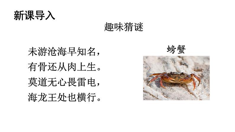 初中语文新人教部编版七年级上册第五单元任务二《亲近动物,丰富生命体验》教学课件(2024秋)第2页