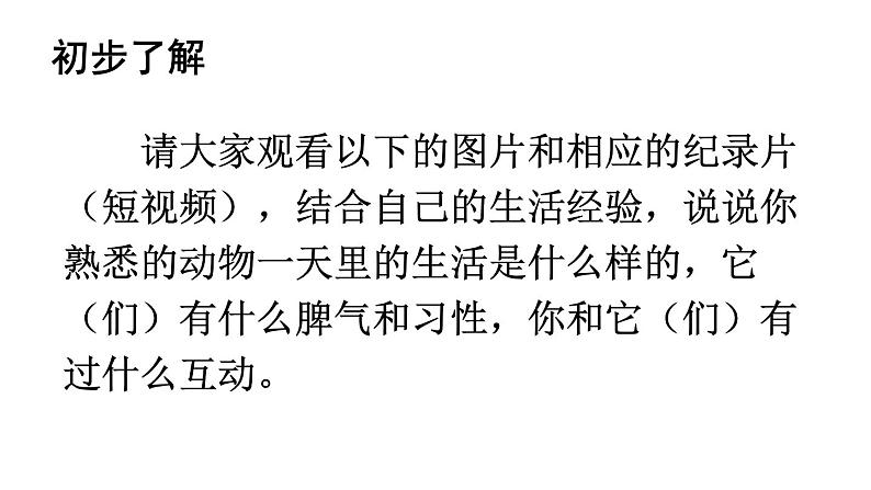 初中语文新人教部编版七年级上册第五单元任务二《亲近动物,丰富生命体验》教学课件(2024秋)第5页