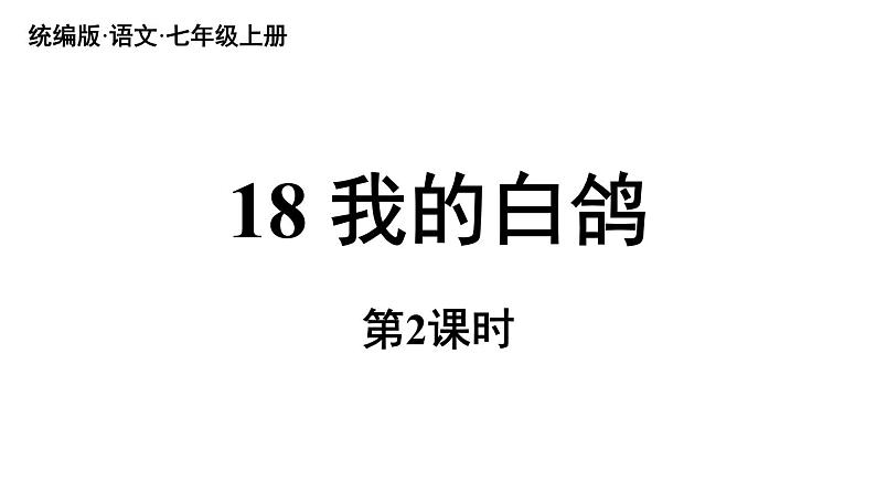 初中语文新人教部编版七年级上册第5单元 18《我的白鸽》课时2教学课件(2024秋)第1页