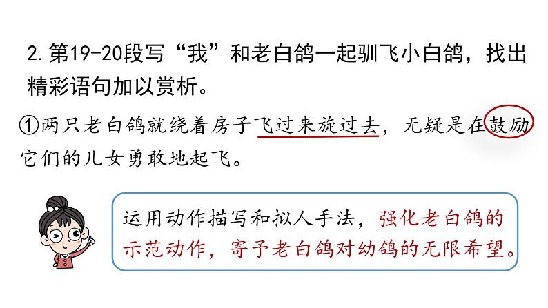 初中语文新人教部编版七年级上册第5单元 18《我的白鸽》课时2教学课件(2024秋)第7页