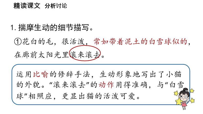 初中语文新人教部编版七年级上册第5单元 17《猫 》课时2教学课件(2024秋)05
