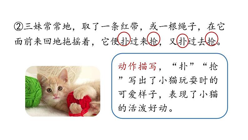 初中语文新人教部编版七年级上册第5单元 17《猫 》课时2教学课件(2024秋)06