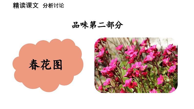 初中语文新人教部编版七年级上册第1单元 1《春》课时2教学课件(2024秋)04