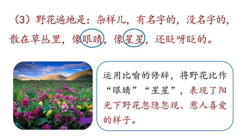 初中语文新人教部编版七年级上册第1单元 1《春》课时2教学课件(2024秋)07