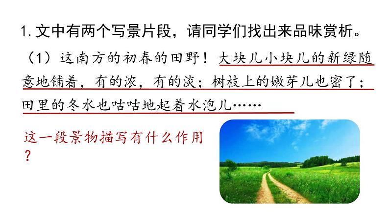 初中语文新人教部编版七年级上册第2单元 6《散 步》课时2教学课件(2024秋)05