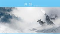 人教部编版（2024）20 狼/蒲松龄图文ppt课件