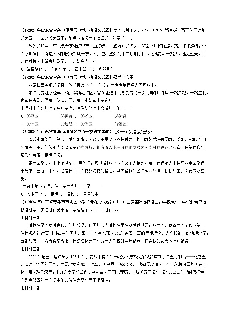 专题03 词语理解与运用-备战2025年中考语文专项精练(山东青岛专用)(原卷版)第3页
